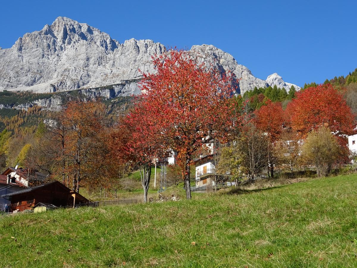 Hotel Garni Posta ฟอร์โน ดิ ซอลโด ภายนอก รูปภาพ